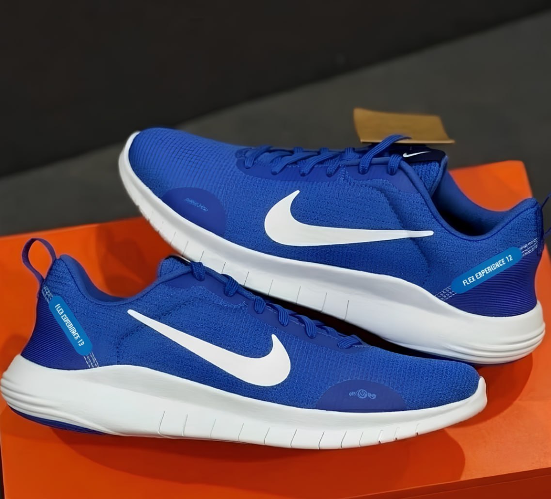 👟 Tênis Nike Flex Experience Run 12 (2 Cores)