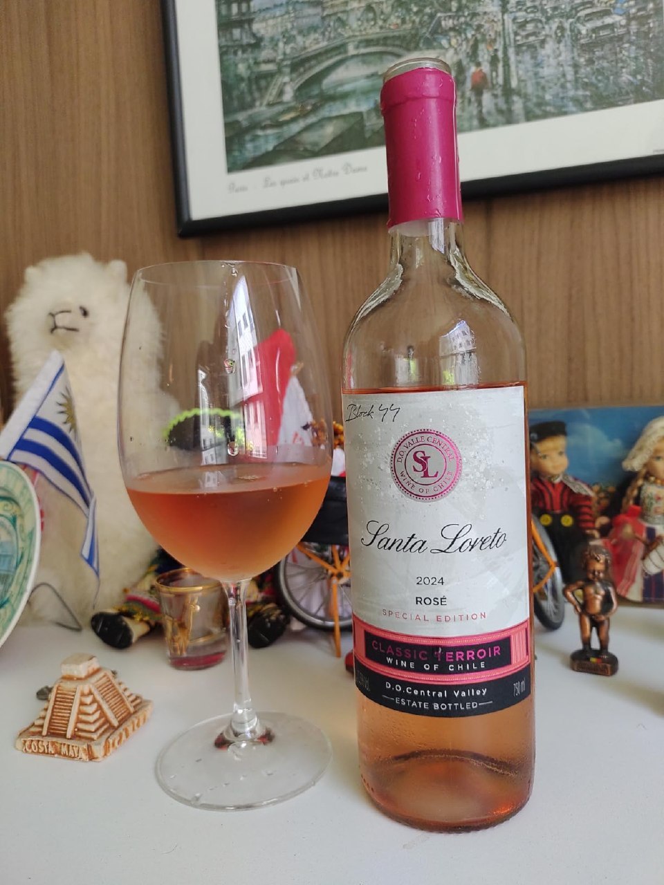 🍷 Vinho Fino Rosé Chileno Santa Loreto Varietal 750ml