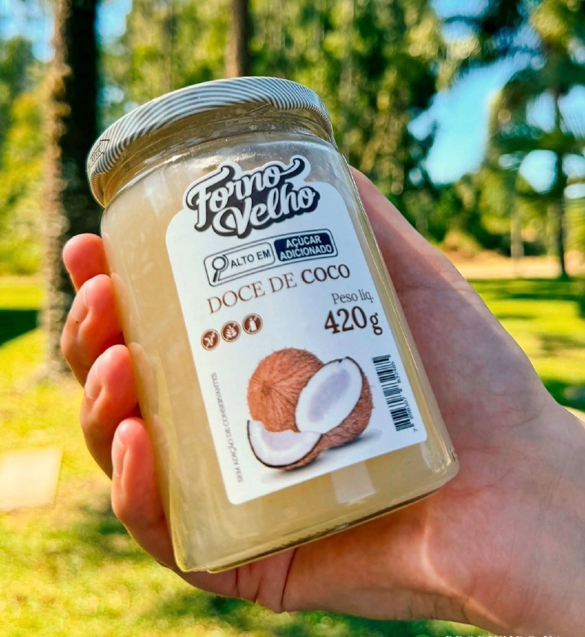 š„ Forno Velho Doce de Coco 420g