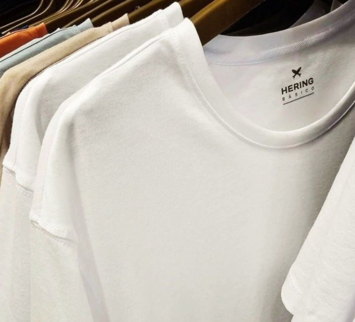 👕 Kit 2 Camisetas Básicas Slim Hering