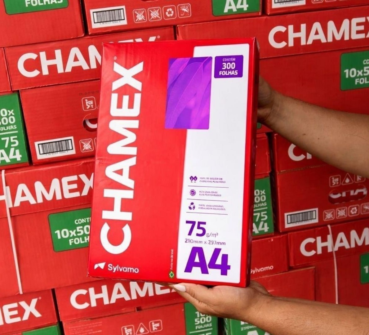 š Papel Sulfite Chamex A4 75 Gramas com 300 Folhas