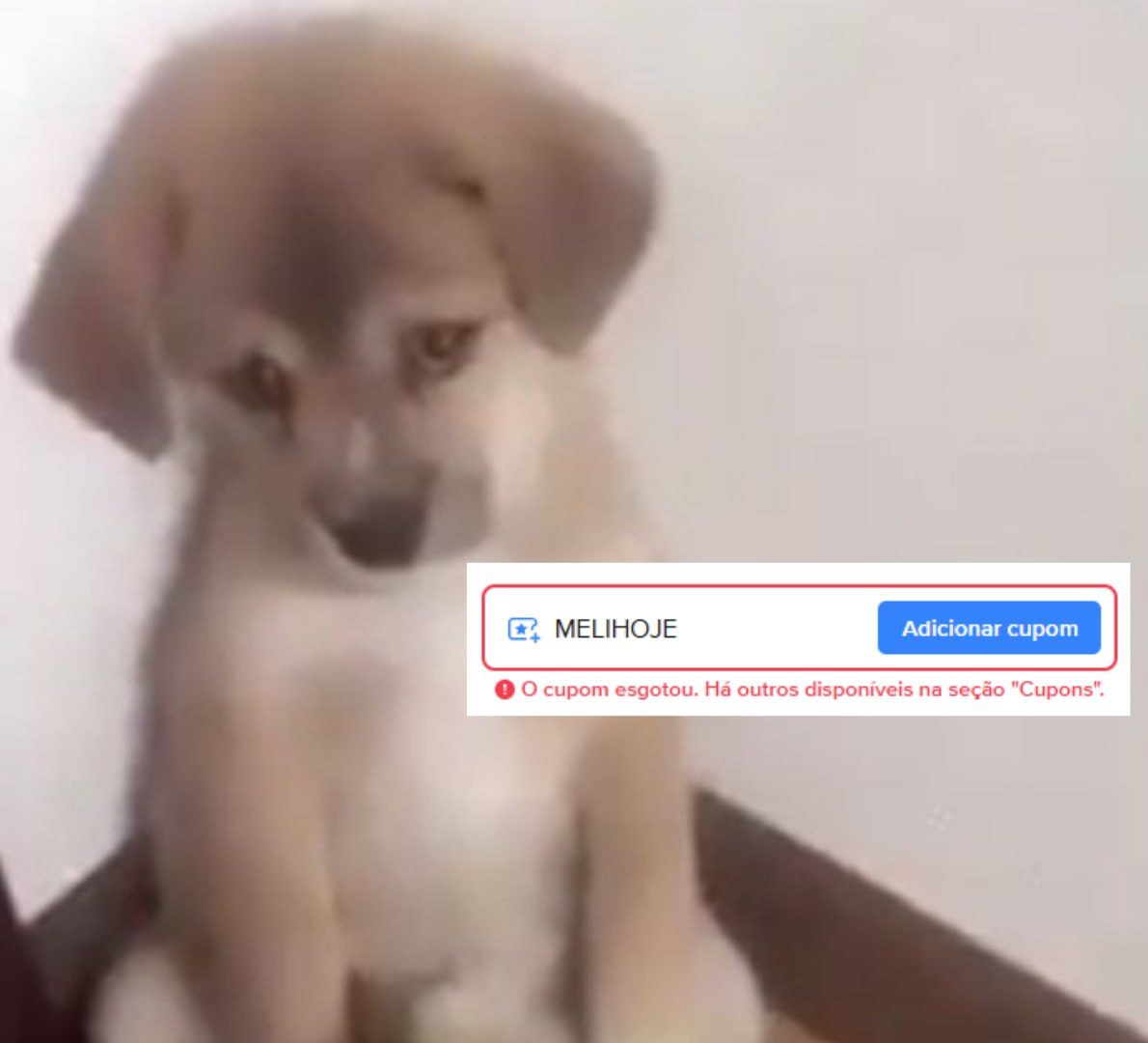 ative as notificações do grupo pra não perder os próximos 👀🔔