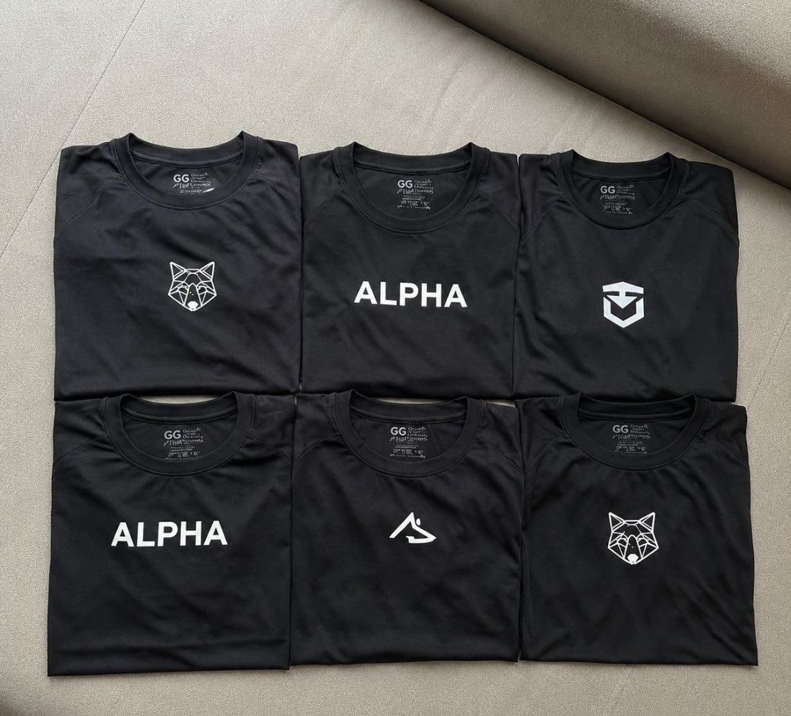 🐺 Kit com 5 Camisetas Dry All Black Alpha