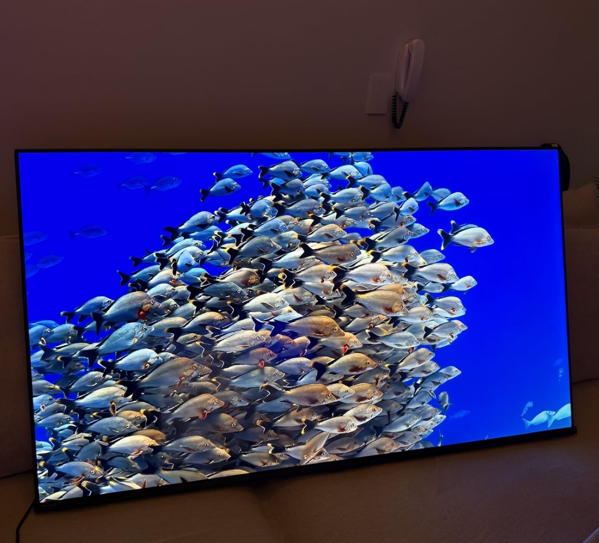 📺 Hisense Smart TV 4K 55" HDR10