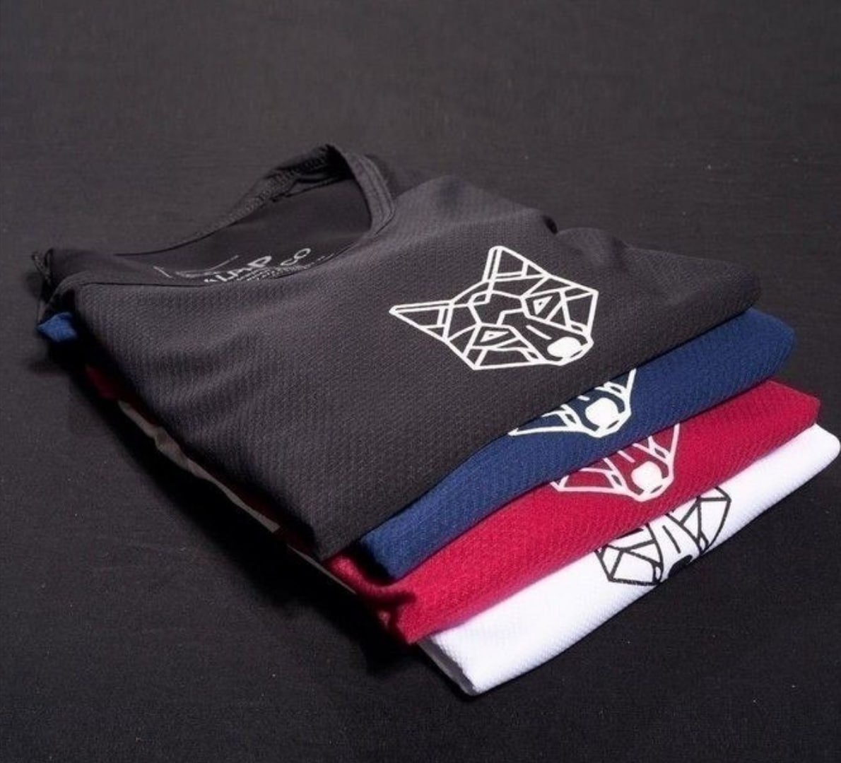 UNIFORME DE TREINO PROS ALPHA