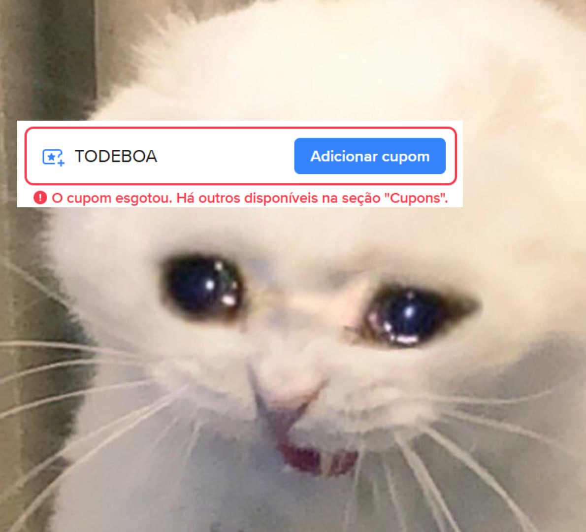 Ative as notificações do grupo para não perder nenhum cupom 🔔