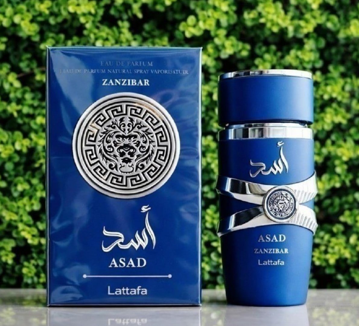 🌬 Perfume Árabe Lattafa Asad Zanzibar 100ml