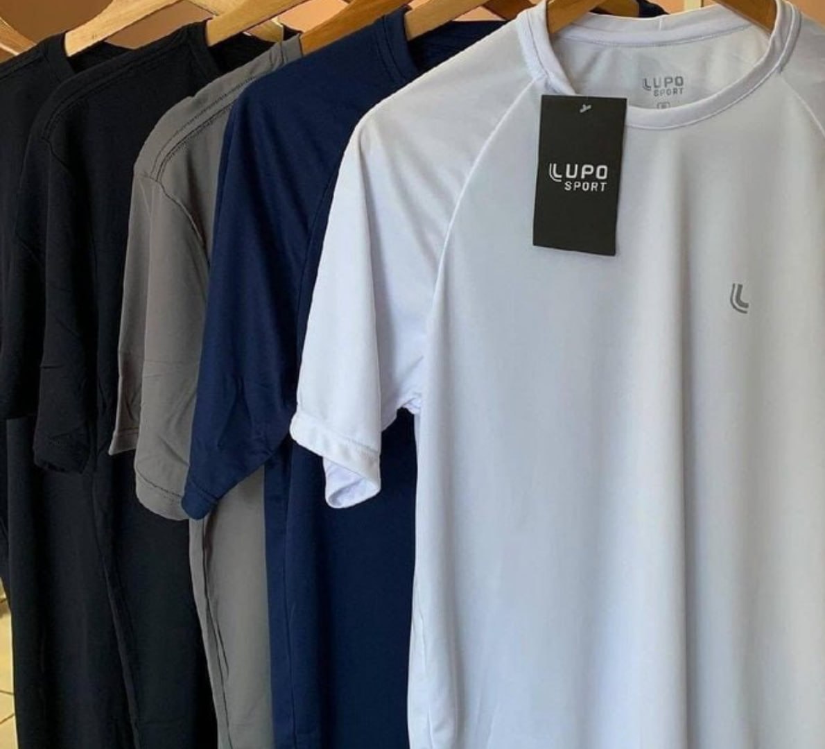 👕 Camiseta Dry Fit Anti Odor - Lupo (3 cores)