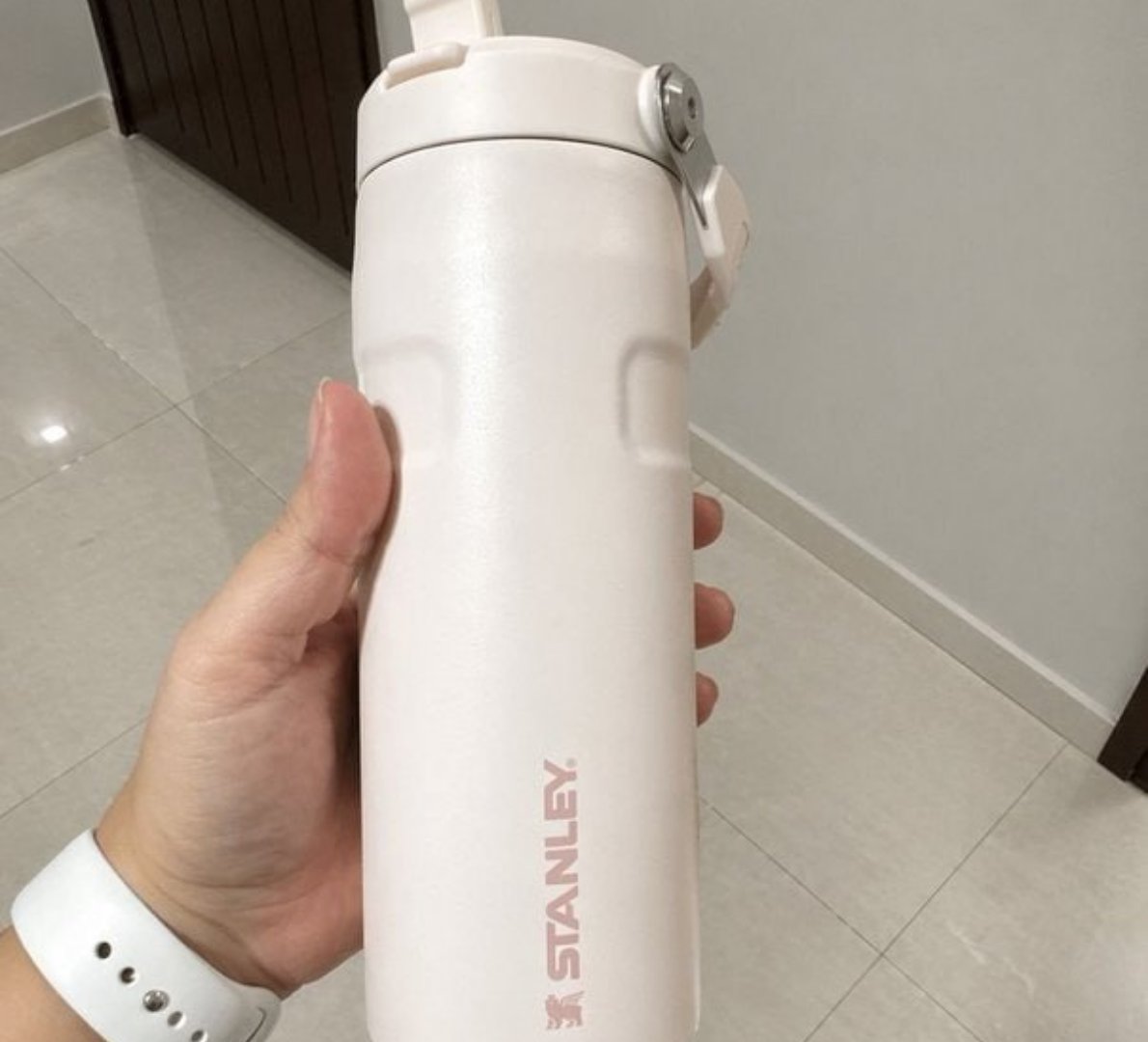 🧊 Garrafa Térmica Stanley Aerolight Flip Straw 710ml