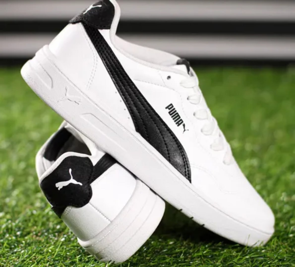 CASUAL DA PUMA NO PRECINHO