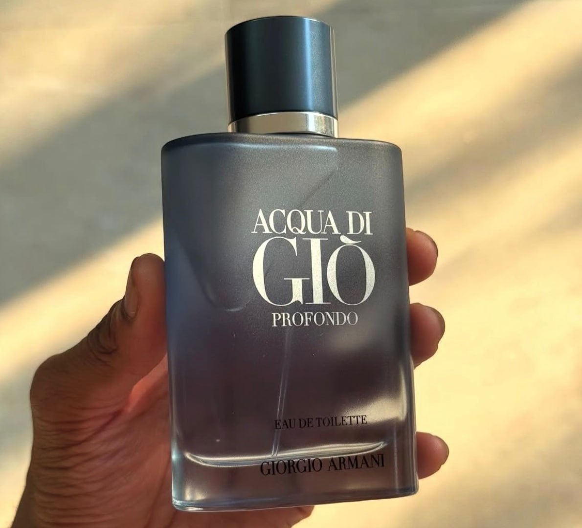 🌬 Acqua di Giò Profondo EDT 100ml Giorgio Armani