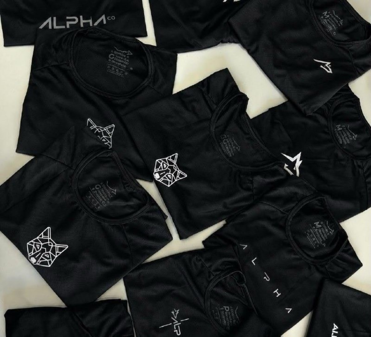 🐺 Kit 5 Camisetas Dry All Black Alpha