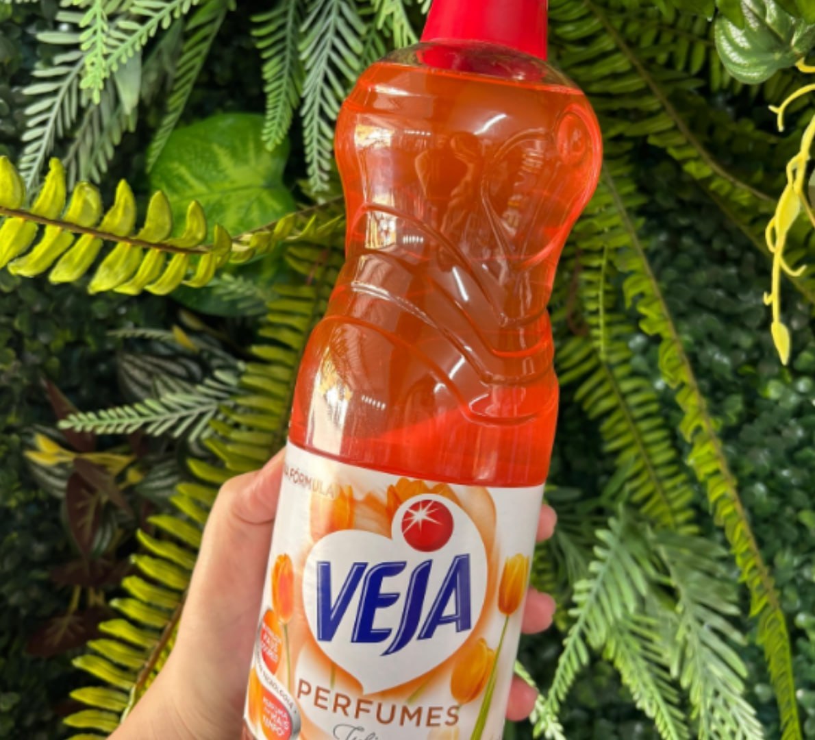 ✅ Veja Limpador Perfumado Tulipa Da Holanda - 500ml Coral