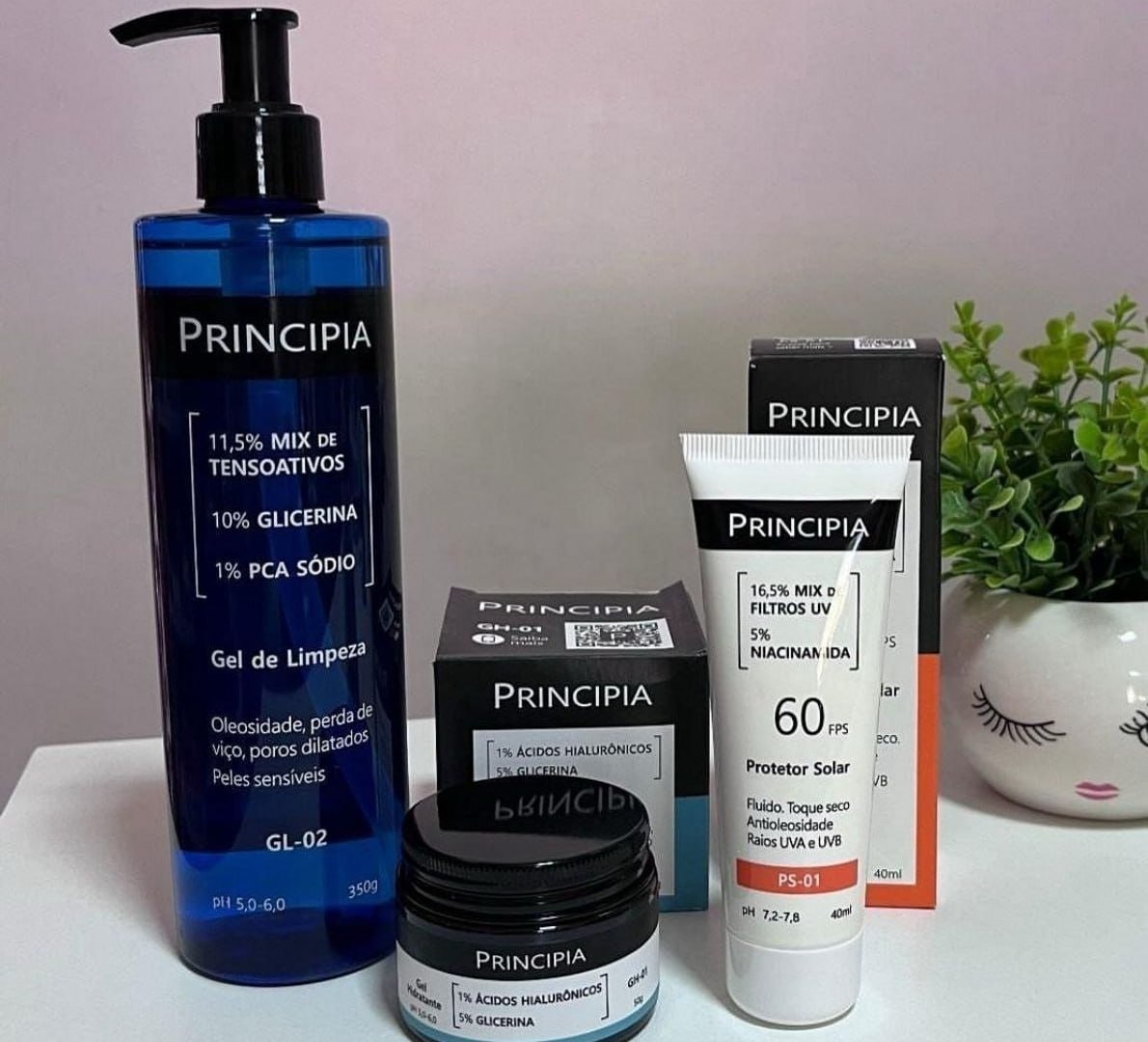 ✅ Principia Kit (GL-02 + GH-01 + PS-01)