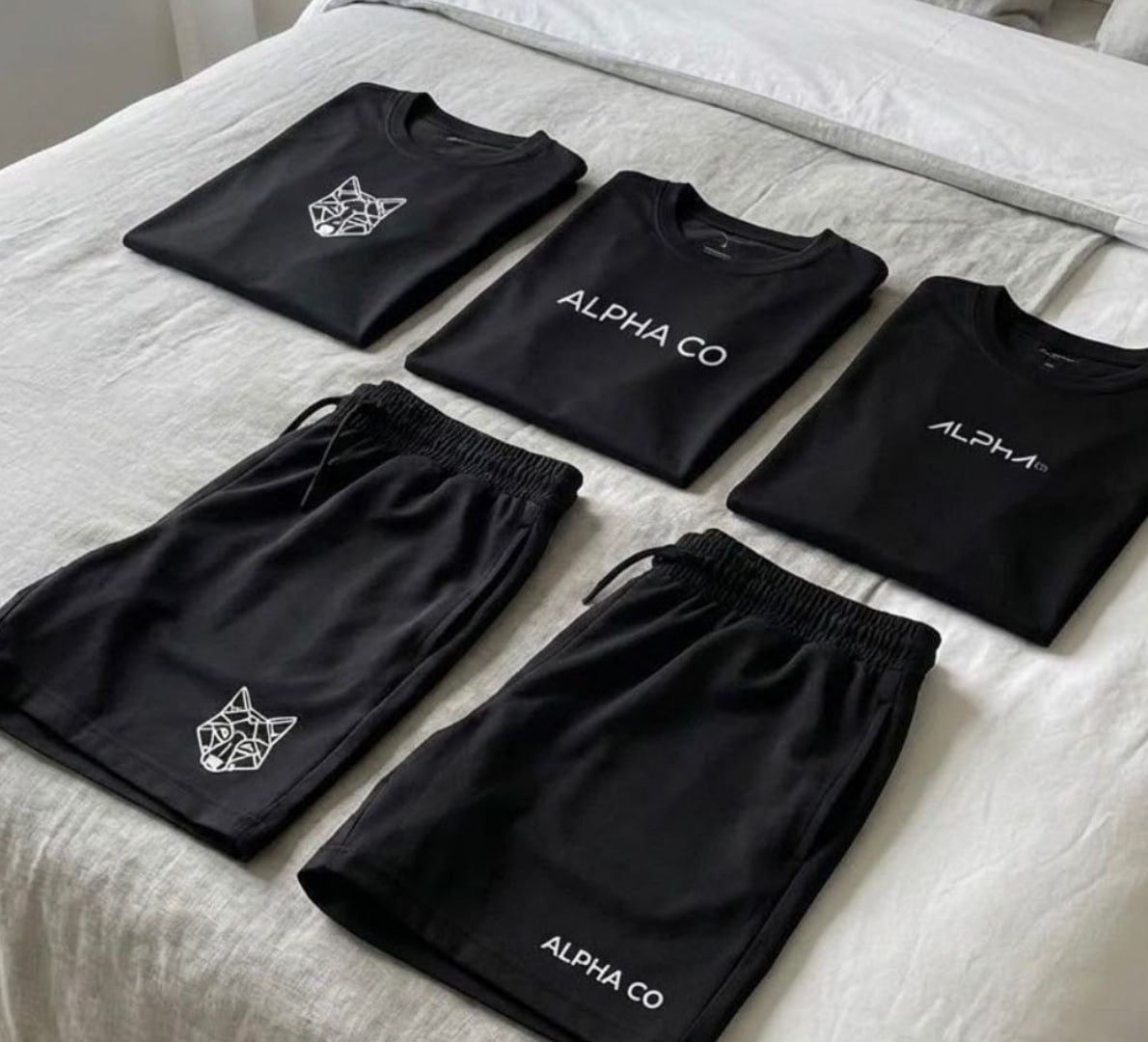 🐺 Kit 5 Peças All Black Dry: 3 Camisetas e 2 Bermudas Alpha