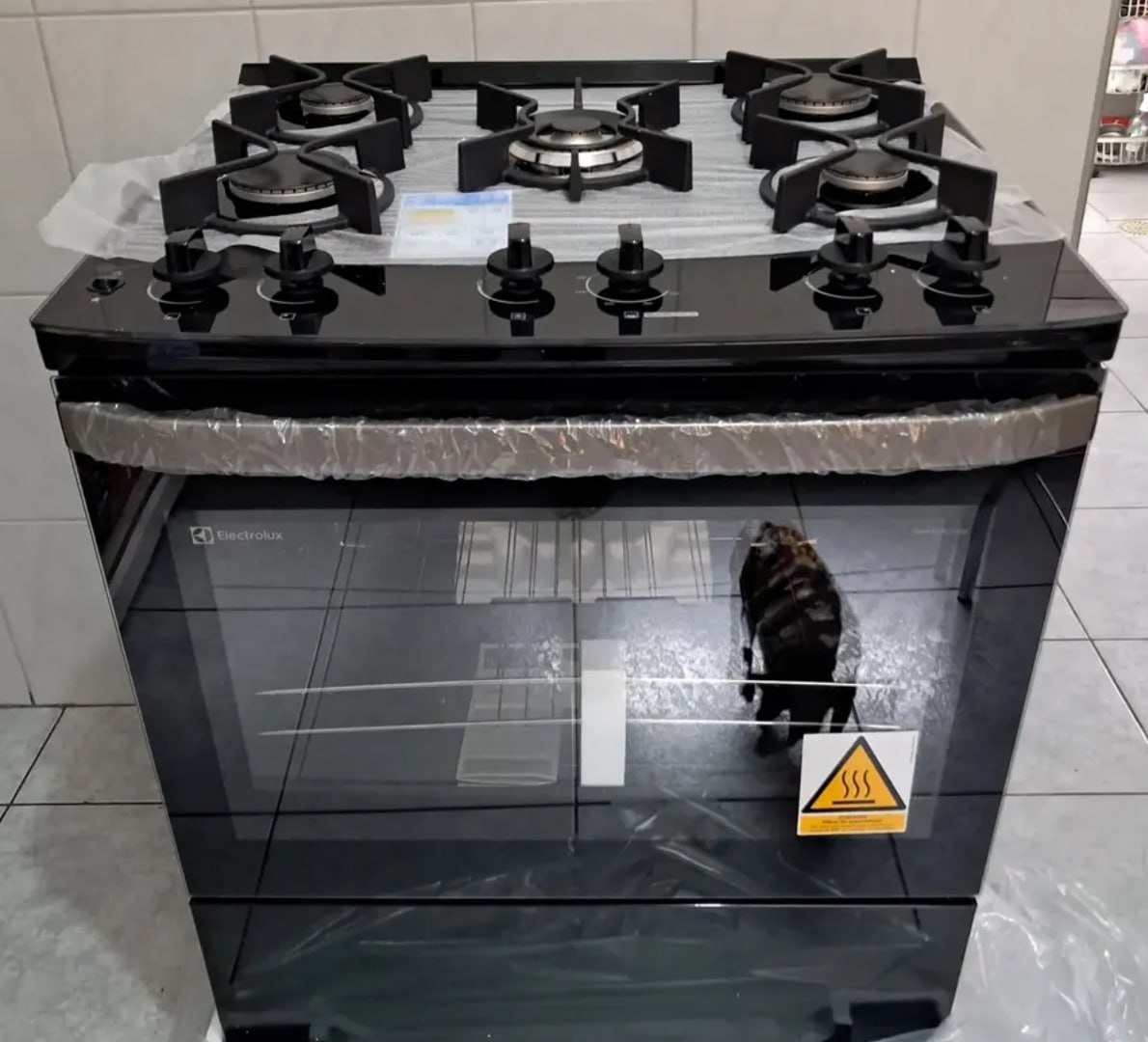 ✅ Fogão 5 Bocas Electrolux Efficient FE5GB Bivolt