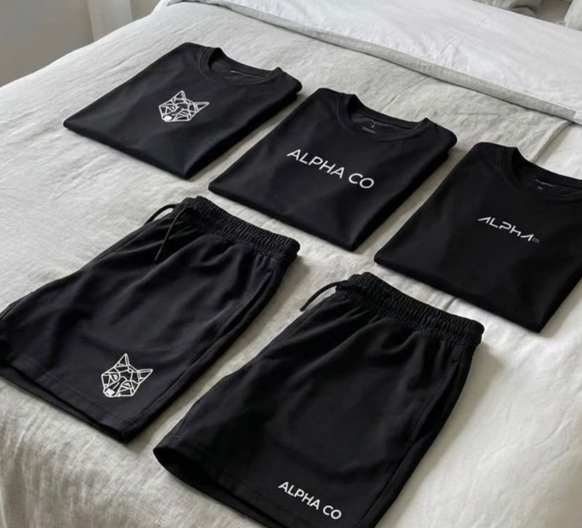 🐺 Kit 5 Peças All Black Dry: 3 Camisetas e 2 Bermudas Alpha