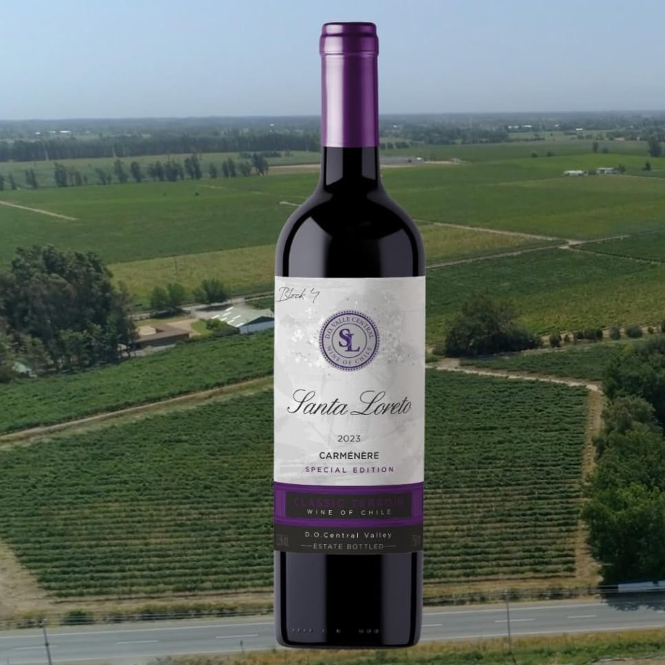 🍷 Vinho Fino Tinto Chileno Santa Loreto Varietal Carmenere 750ml