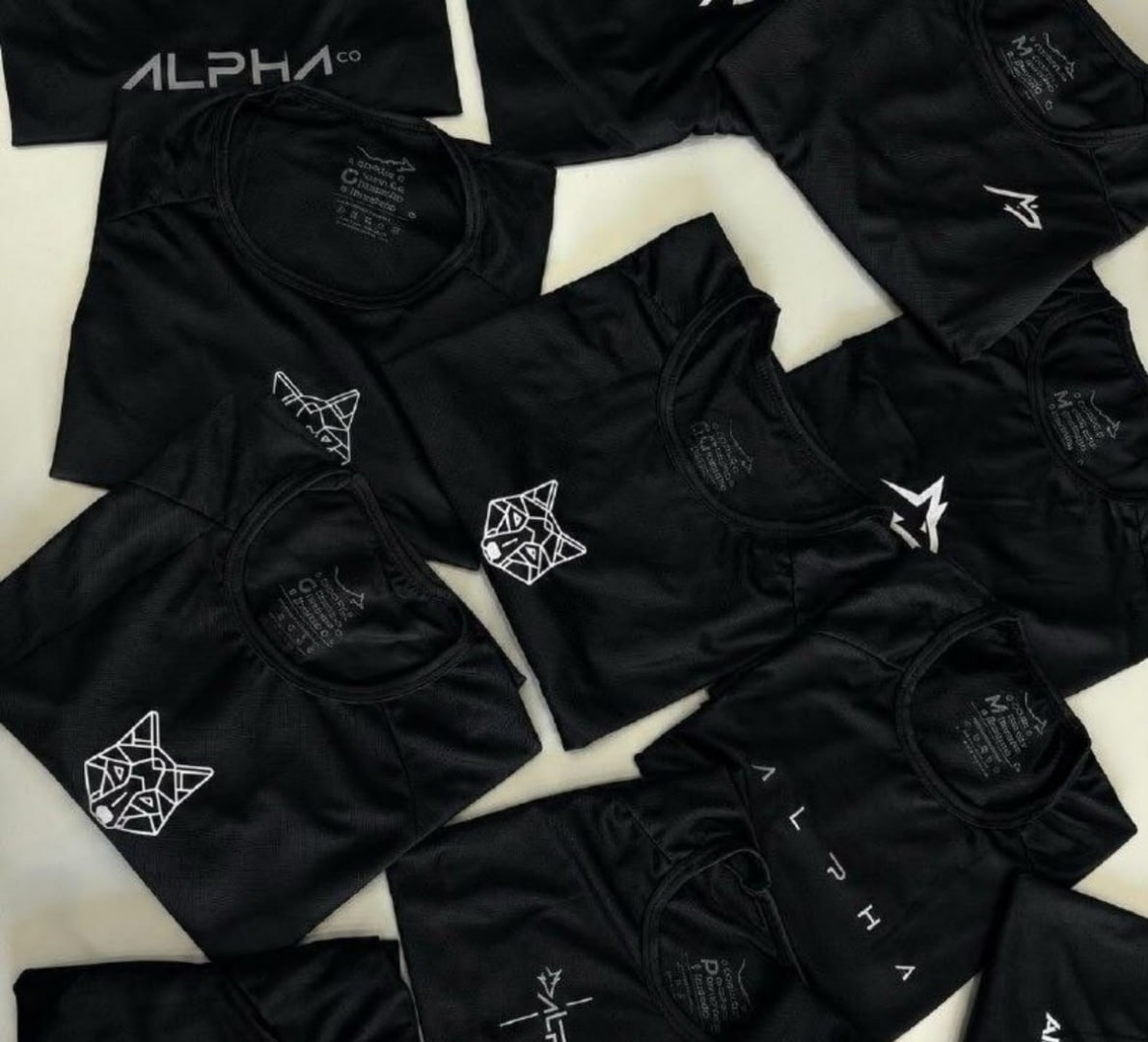 🐺 Kit 5 Camisetas Dry All Black Alpha