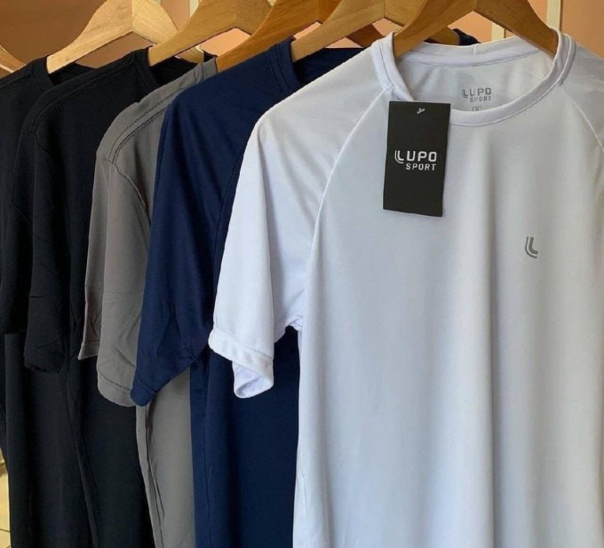 👕 Kit 2 Camisetas Dry Fit Lupo (várias cores)