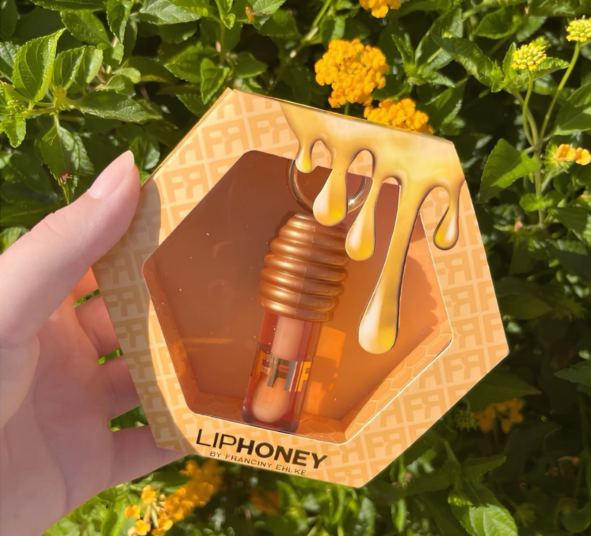 🍯 Gloss Fran By Franciny Ehlke Liphoney