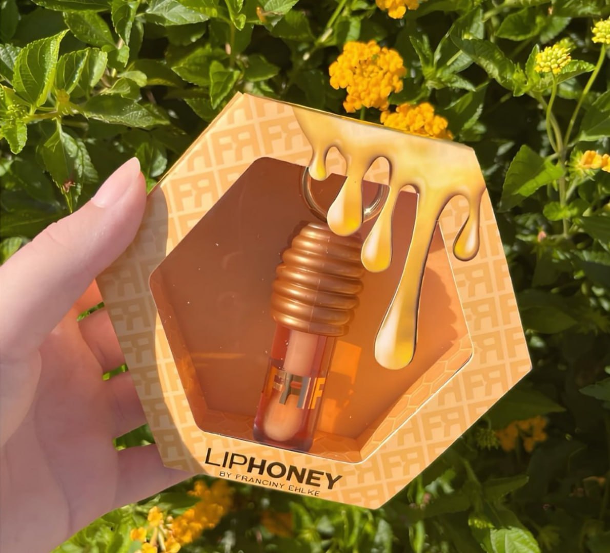 🍯 Gloss Fran By Franciny Ehlke Liphoney