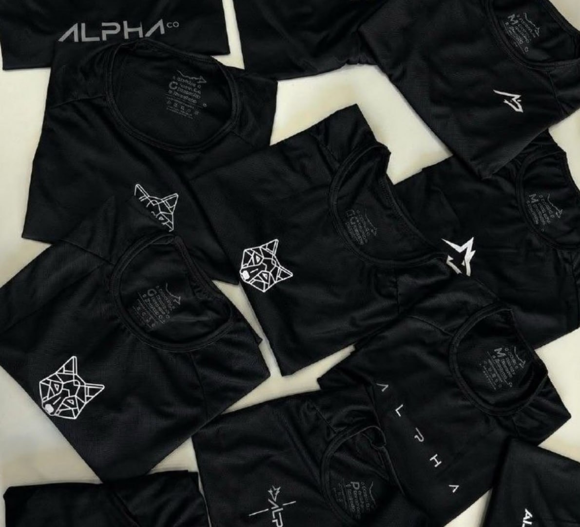 🐺 Kit 5 Camisetas Dry All Black Alpha