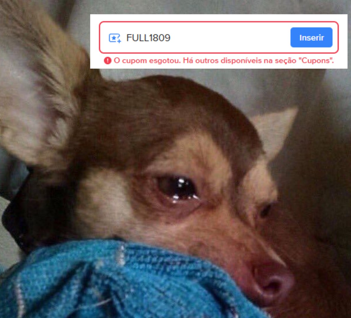 Ative as notificações do grupo para não perder nenhum cupom 🔔