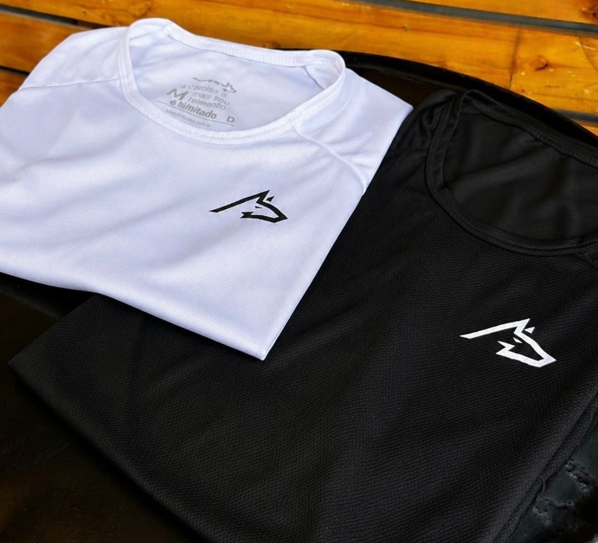 🐺 Kit 2 Camisetas Dry Wolf Alpha