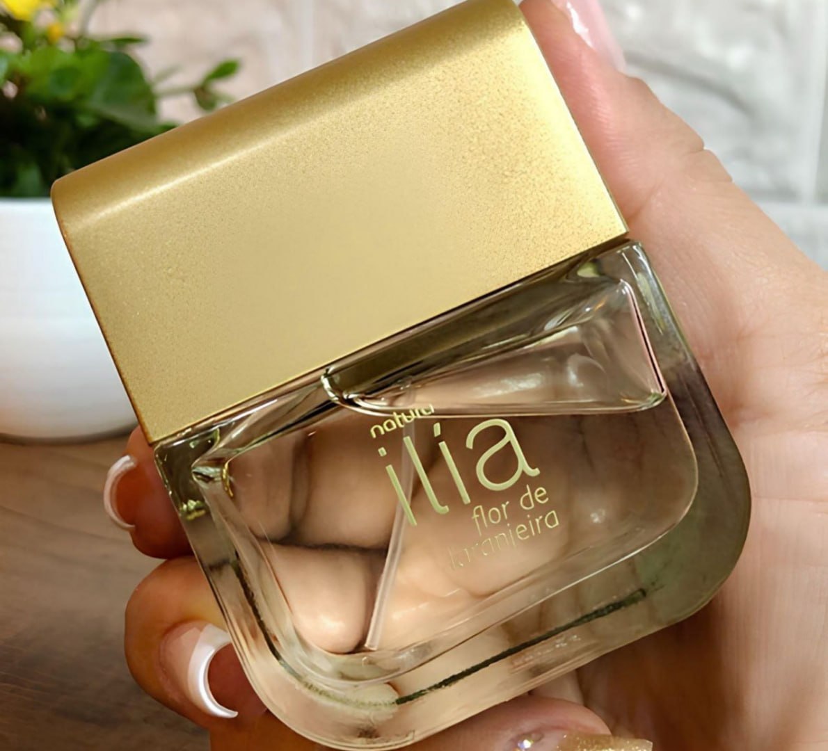 🌬 Ilía Flor de Laranjeira Natura 50ml