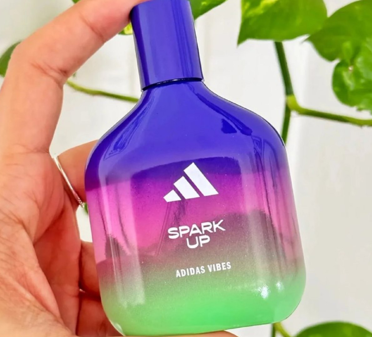✅ Perfume Adidas Vibes Spark Up Eau de Parfum 50ml