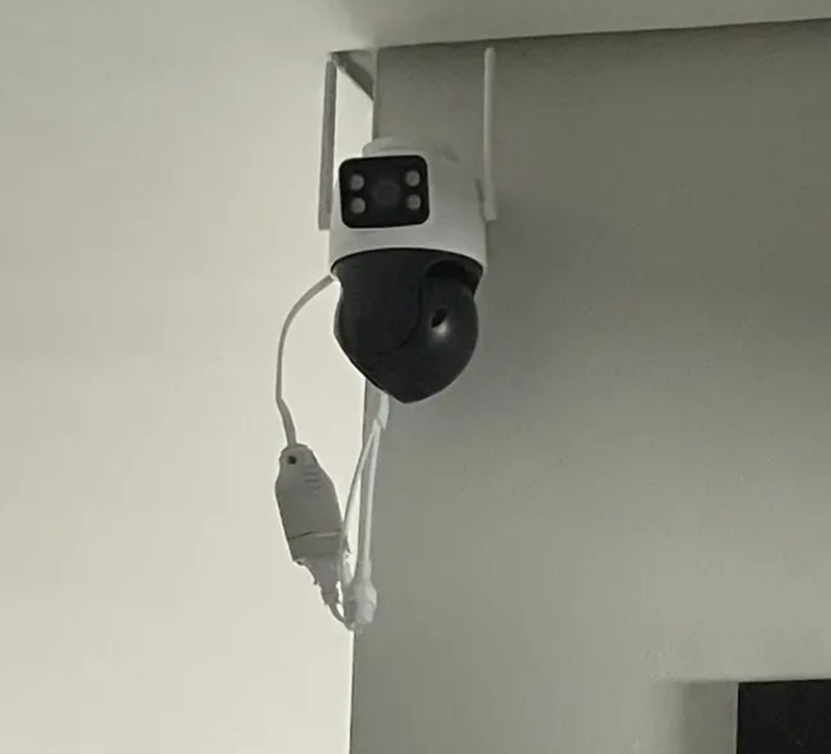 ALÉM DE SABER DAS FOFOCA AINDA DEIXA A CASA PROTEGIDA