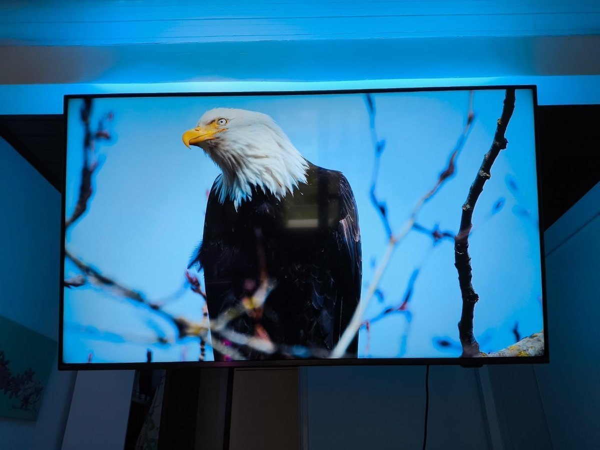 📺 Smart Tv 65" Philips 4k Uhd Ambilight