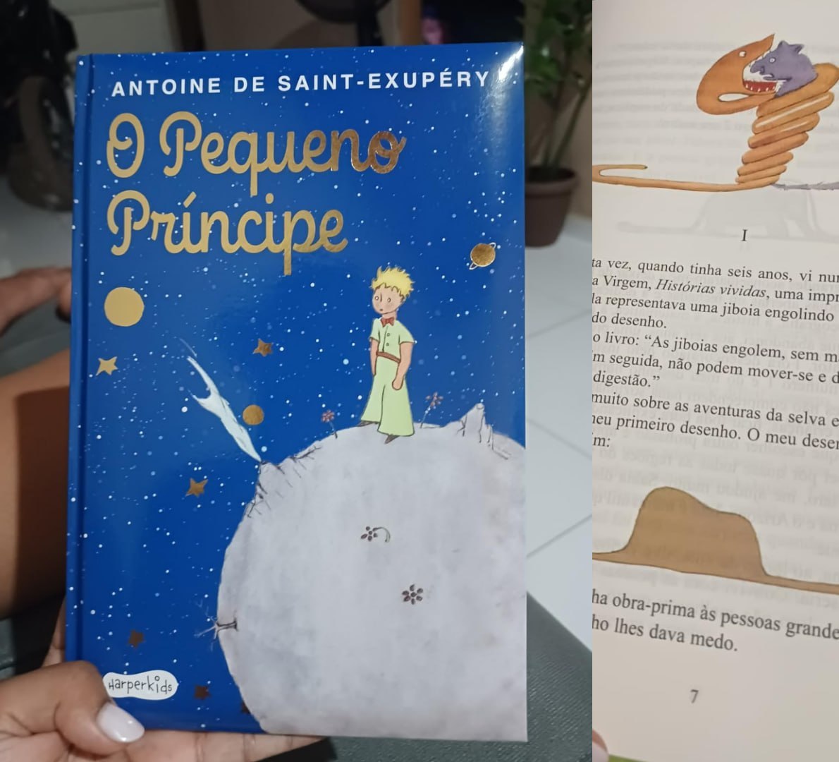 📚 O Pequeno Príncipe - Edição Almofadada