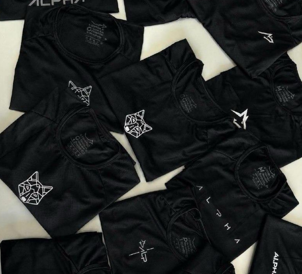 🐺 Kit 5 Camisetas Dry All Black Alpha