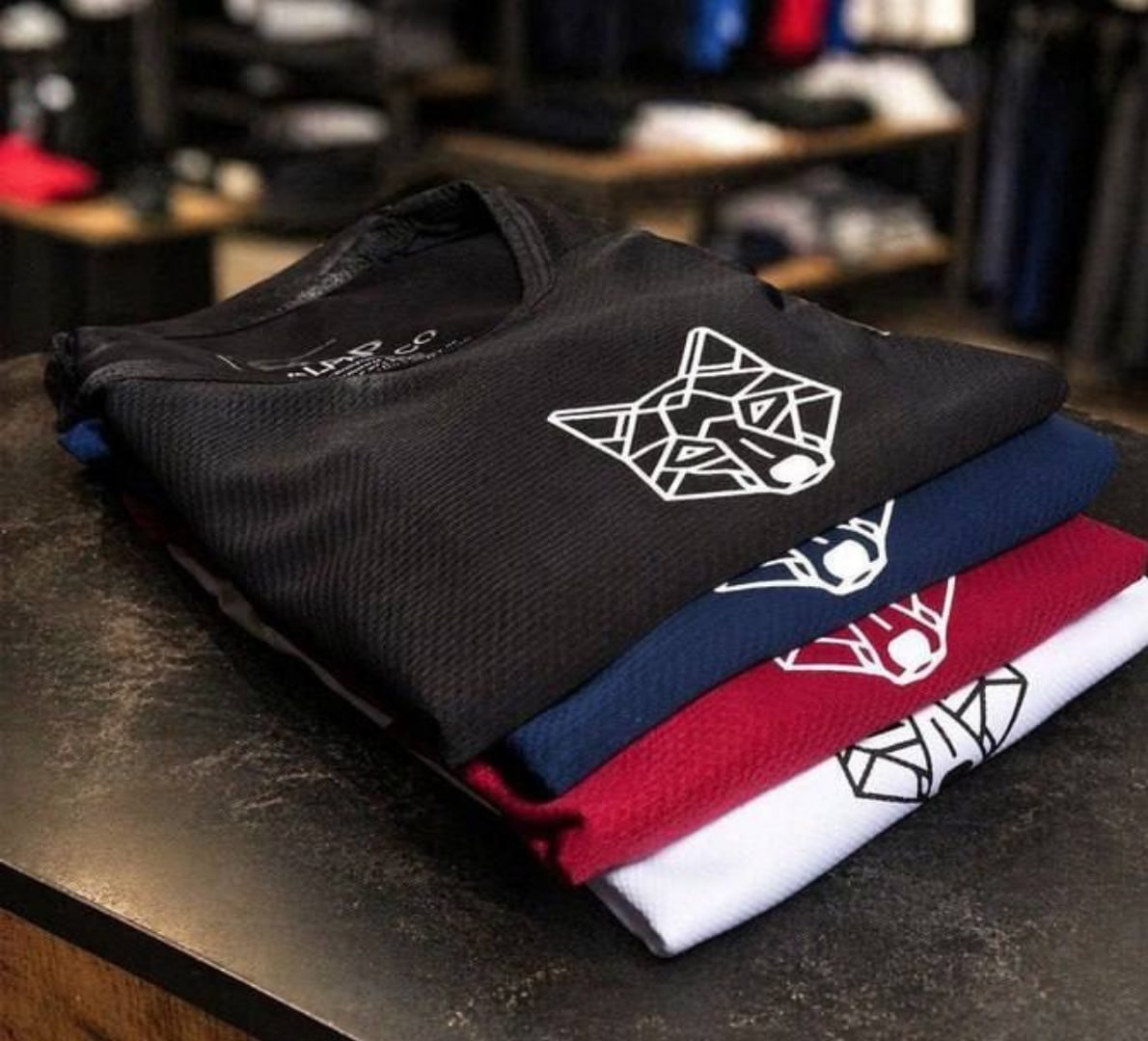 🐺 Kit 4 Camisetas Dry Lobo Alpha