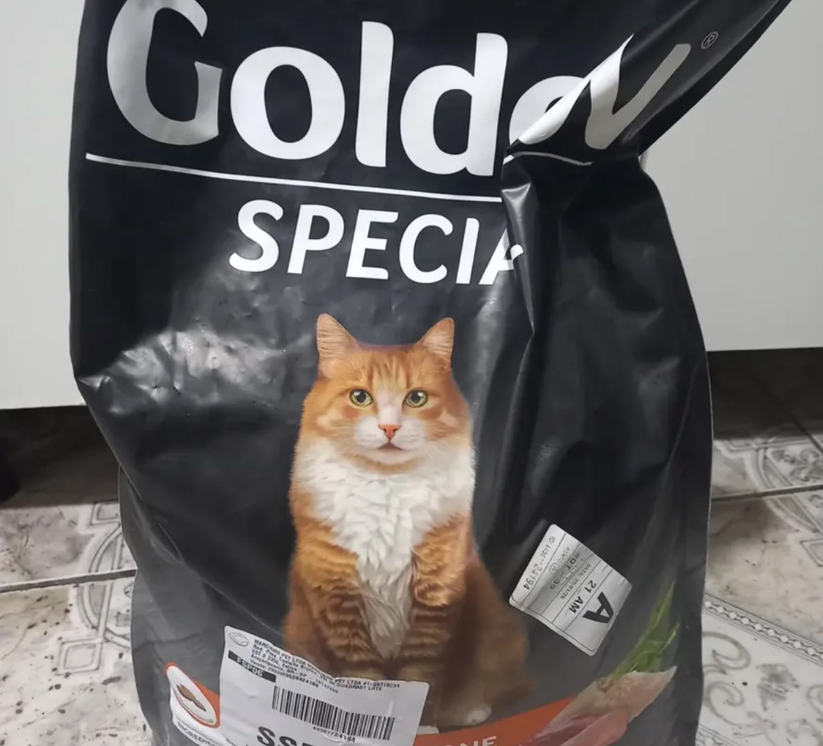 š āRação Golden Special Gatos Adultos Frango E Carne 10,1 Kg