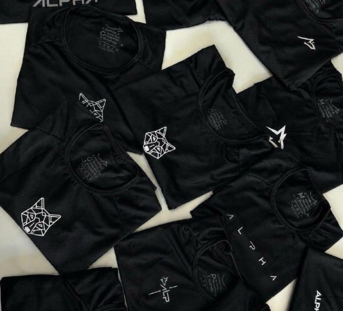 👕 Kit 5 Camisetas Dry All Black Alpha