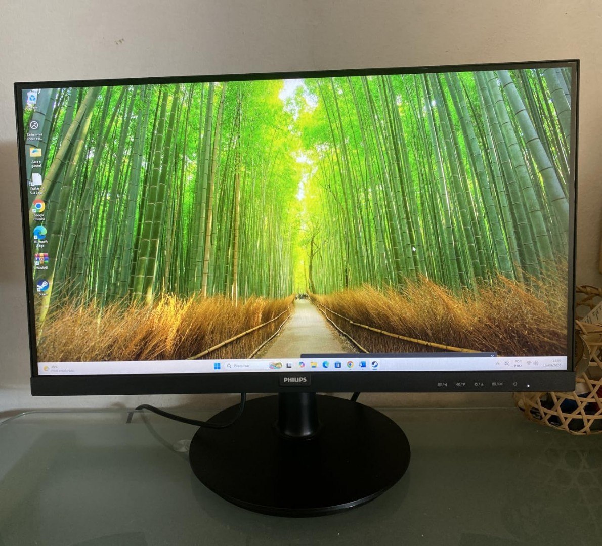 🖥️ Monitor Philips 22" 120Hz 1ms Gaming