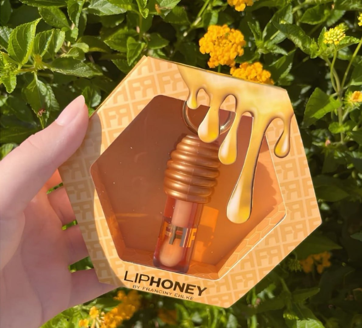 🍯 Gloss Fran By Franciny Ehlke Liphoney Mel
