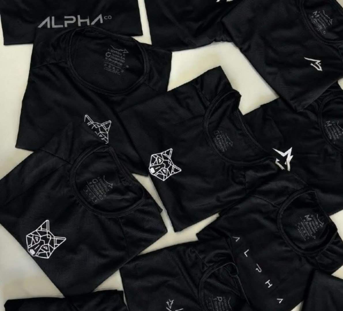 👕 Kit 5 Camisetas Dry All Black Alpha