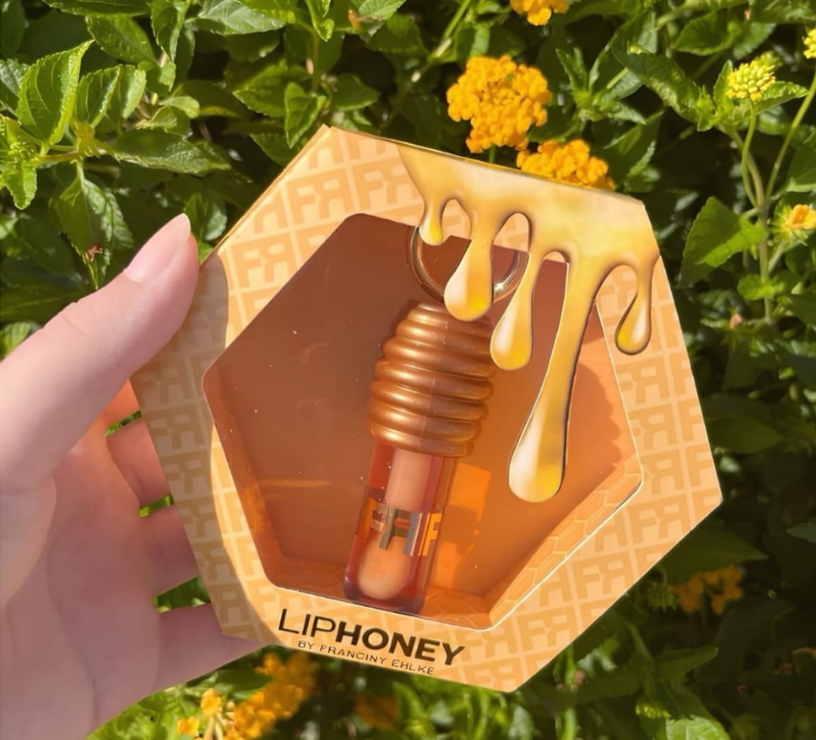 🍯 Gloss Fran By Franciny Ehlke Liphoney Mel