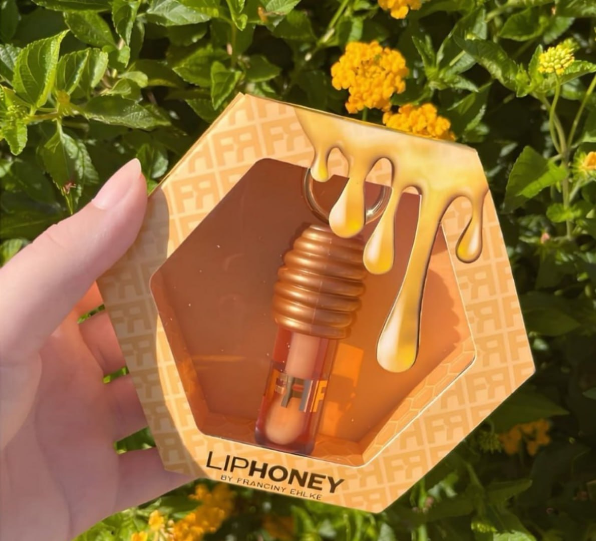 🍯 Gloss Fran By Franciny Ehlke Liphoney Mel