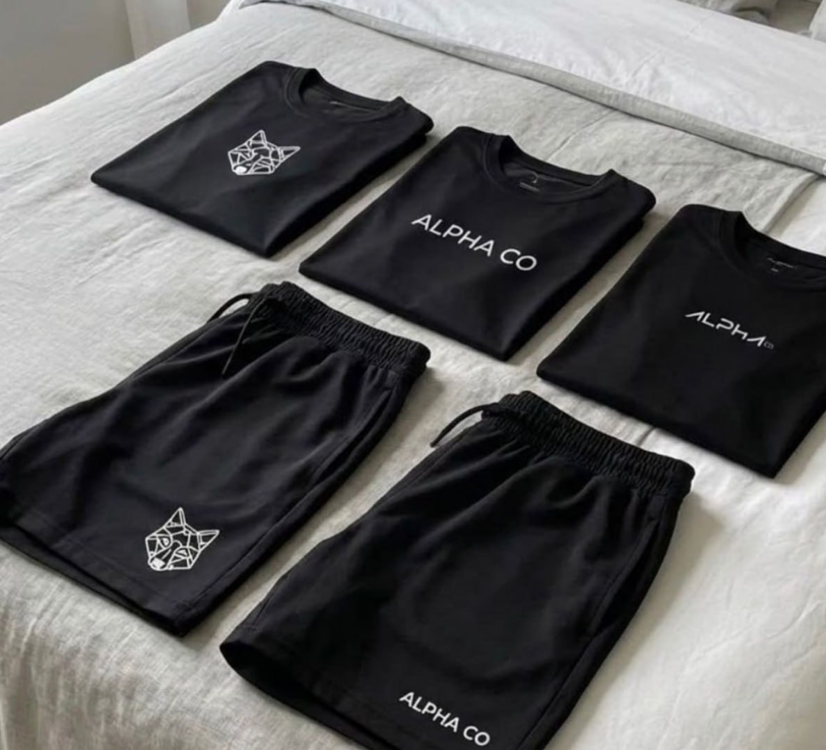 🐺 Kit 5 Peças All Black Dry: 3 Camisetas e 2 Bermudas Alpha