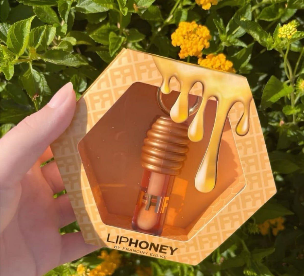 🍯 Gloss Fran By Franciny Ehlke Liphoney Mel