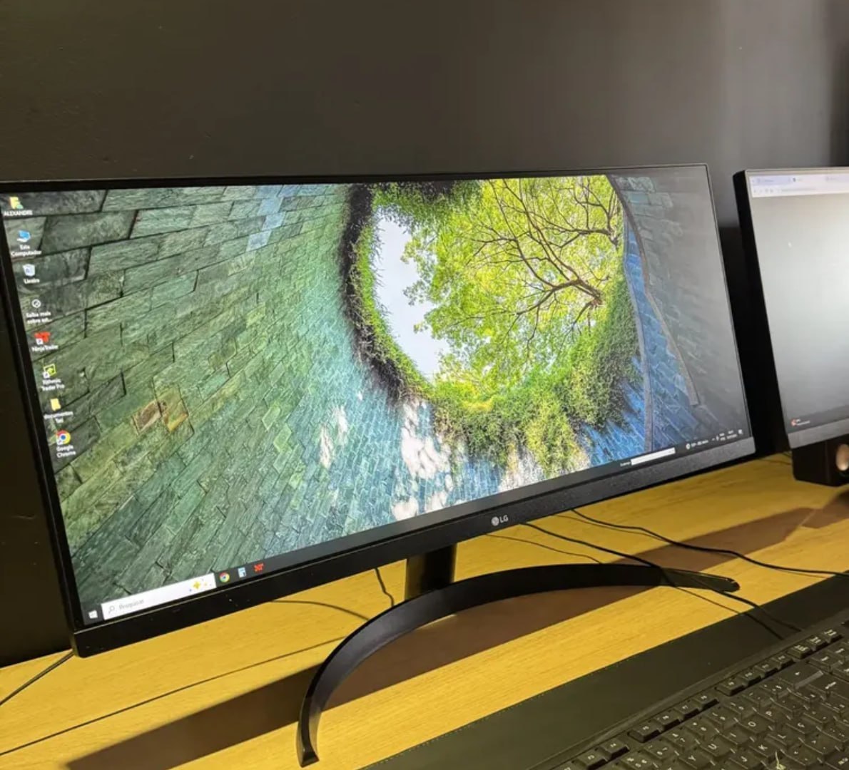 🖥 Monitor LG UltraWide Tela IPS de 29", HDR10, 100Hz