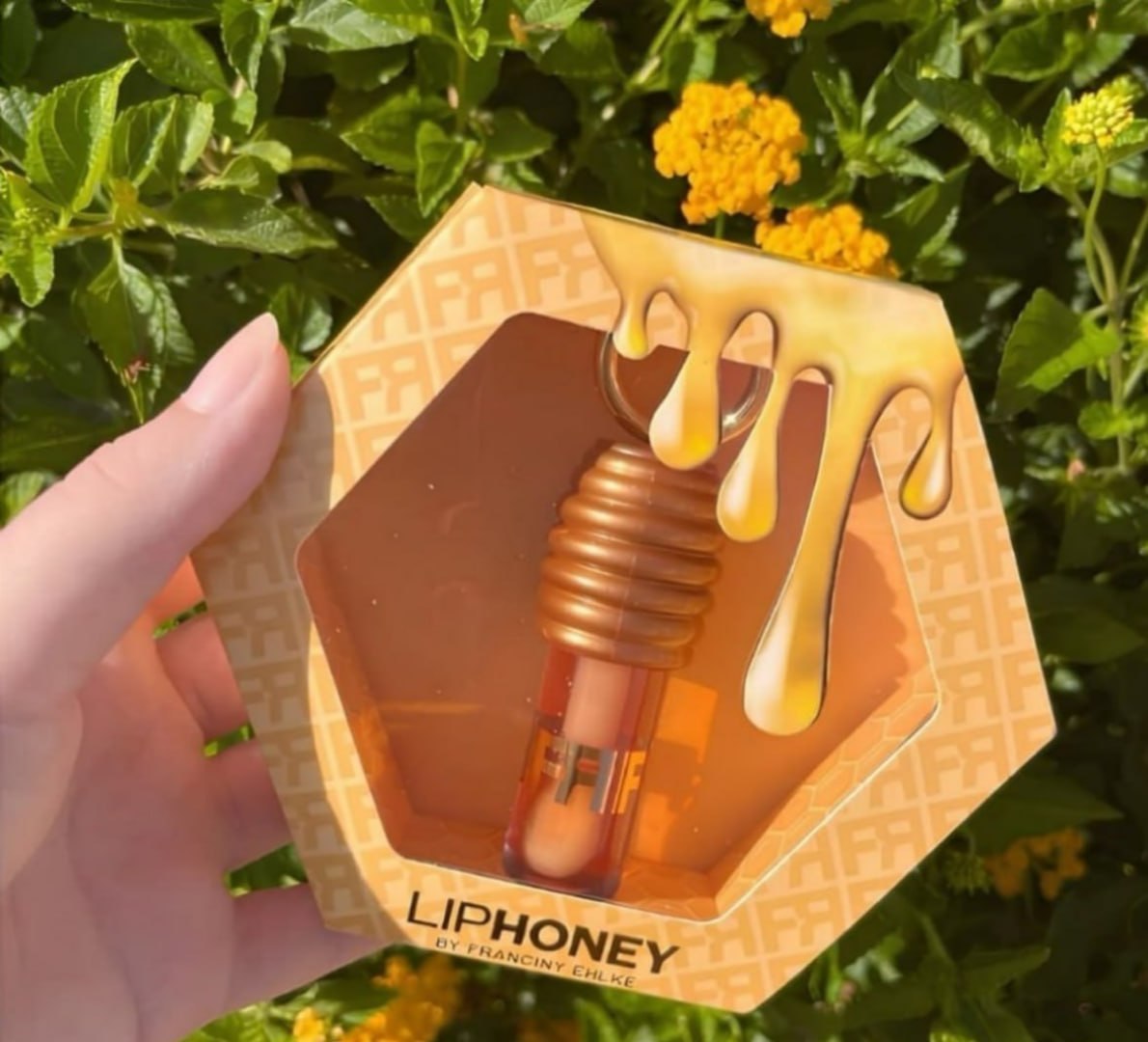 🍯 Gloss Fran By Franciny Ehlke Liphoney Mel