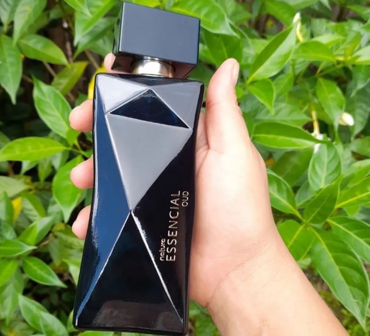 💨 Essencial Oud Natura Deo Parfum 100ml