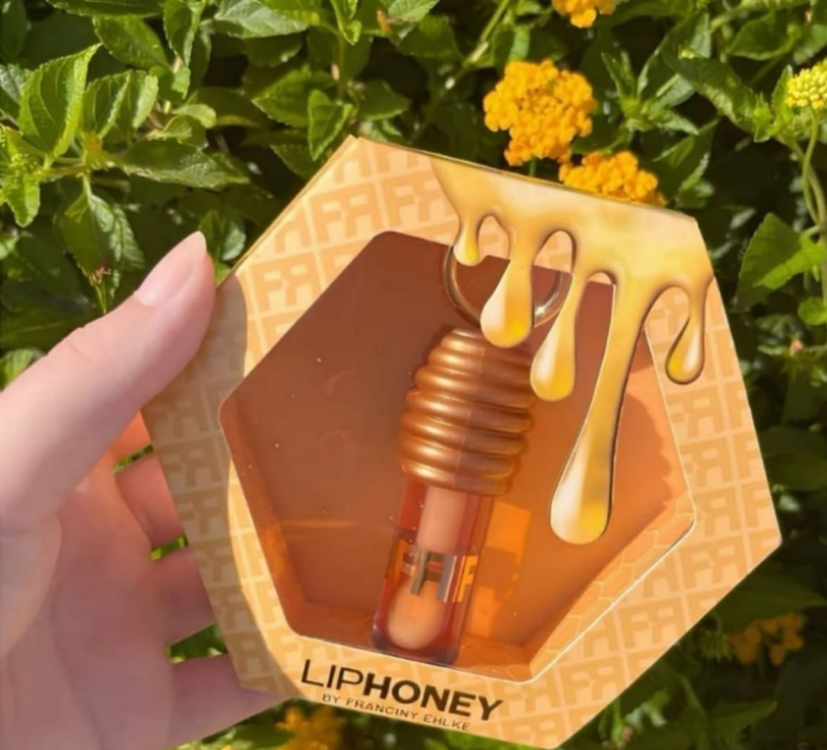 🍯 Gloss Fran By Franciny Ehlke Liphoney Mel
