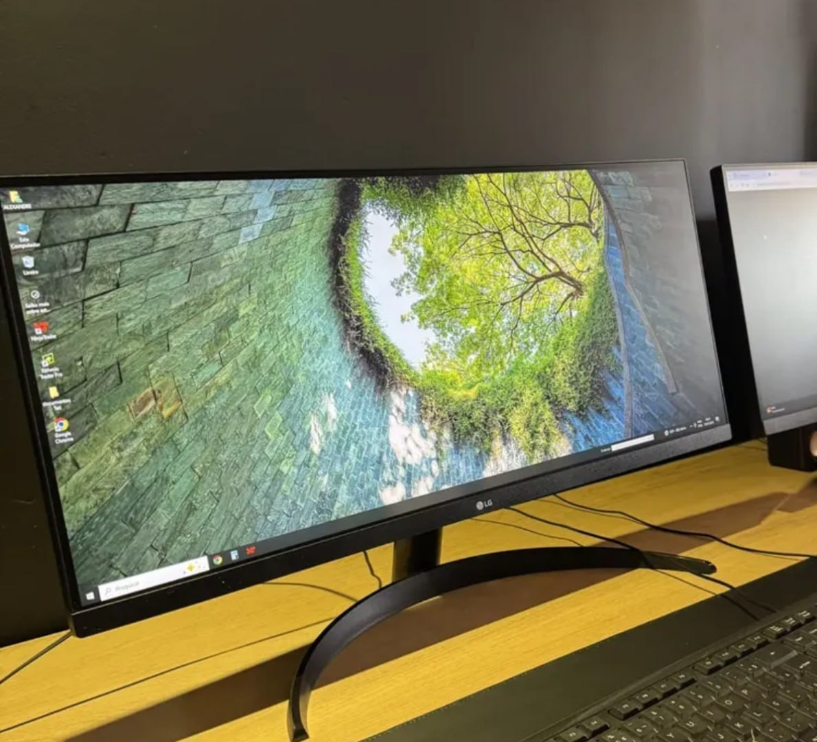 🖥 Monitor LG UltraWide Tela IPS de 29", HDR10, 100Hz